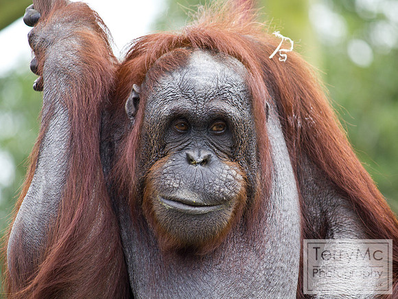 Blackpool zoo by TerryMc Photography - commercial freelance photographer