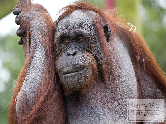 Blackpool zoo by TerryMc Photography - commercial freelance photographer