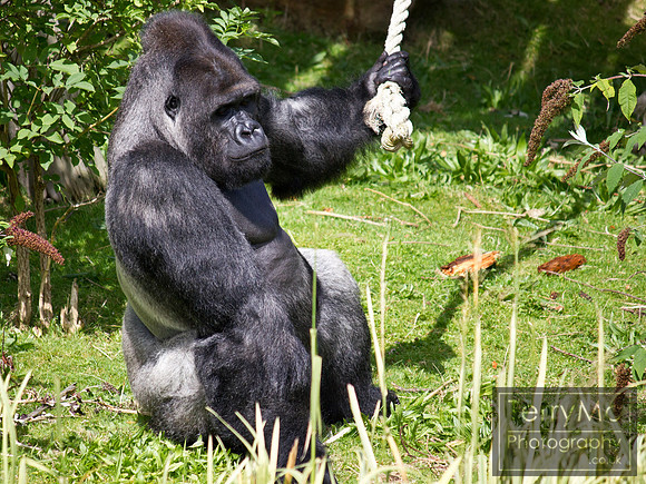 Blackpool zoo by TerryMc Photography - commercial freelance photographer