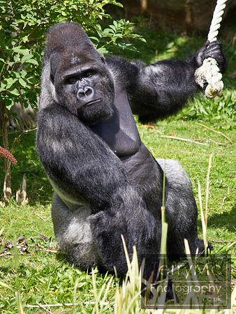 Blackpool zoo by TerryMc Photography - commercial freelance photographer