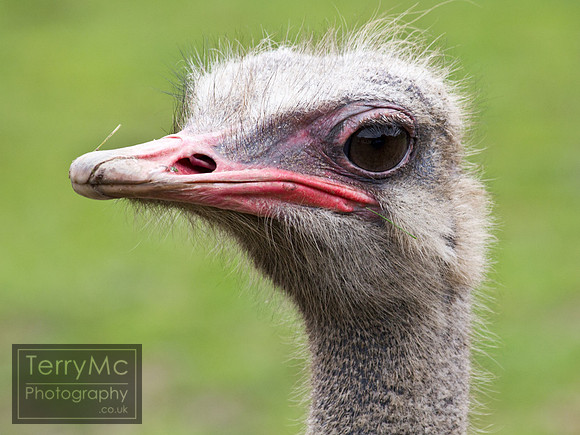 Blackpool zoo by TerryMc Photography - commercial freelance photographer