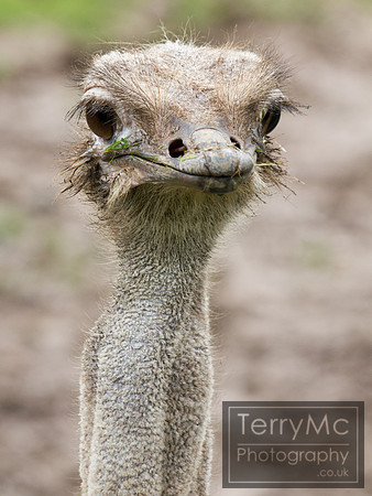 Blackpool zoo by TerryMc Photography - commercial freelance photographer